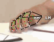 fc40a506e89b.gif