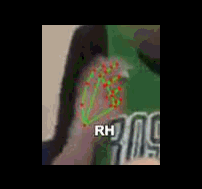 95e3c58ec371.gif