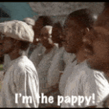 IMG 5827.gif
