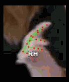 e43c3e43bf1e.gif