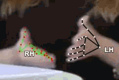 c6ae41358a32.gif