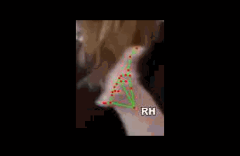 92741bfbc528.gif