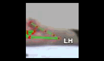 b13f254607b2.gif