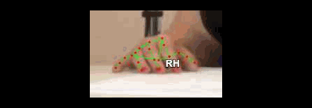 c46b2a5c7acf.gif