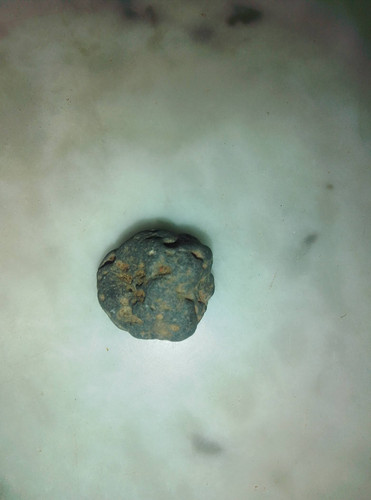 9ab52f77a2d4.jpg