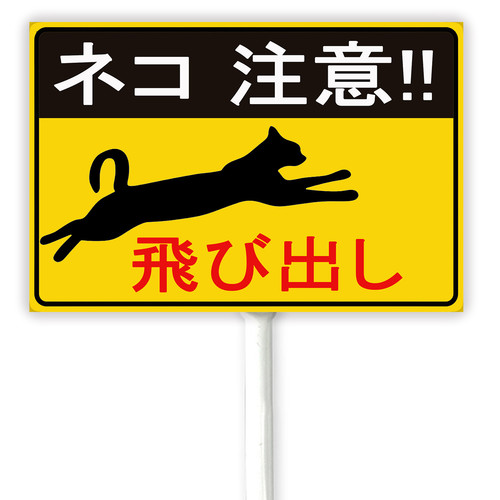 cat 1 37.jpg