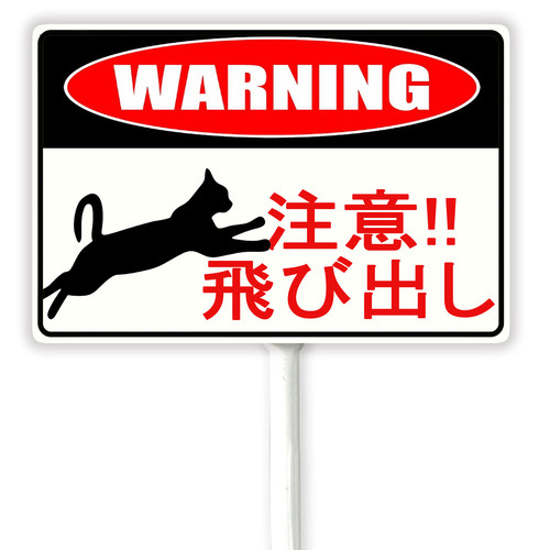 cat 1 38.jpg