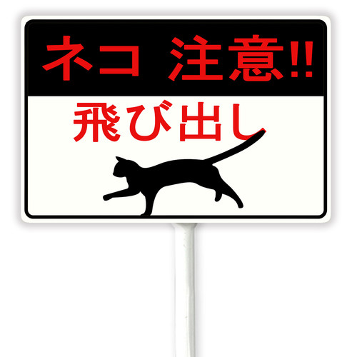 cat 1 39.jpg