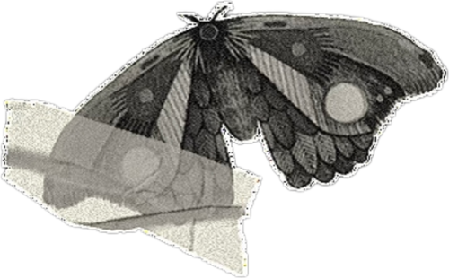 retouch 2026062717514707.png