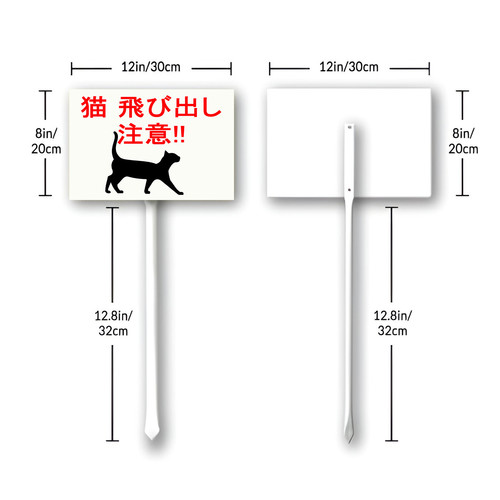 cat 4 33.jpg