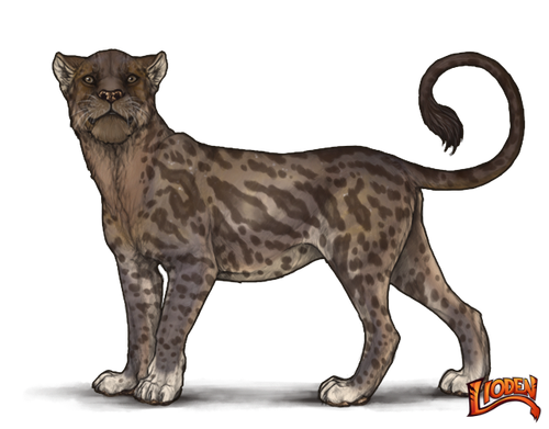 lioden wardrobe (3).png
