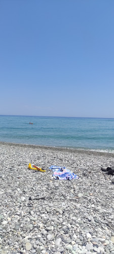 IMG 20260627 132224.jpg