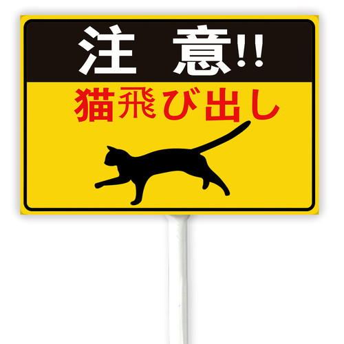 cat 1 32.jpg