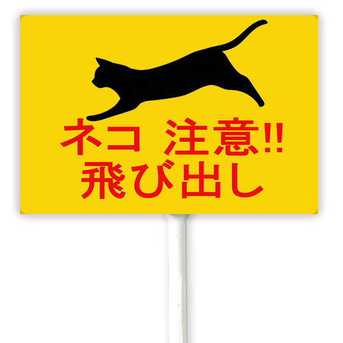 cat 1 35.jpg