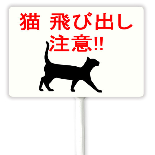 cat 1 33.jpg