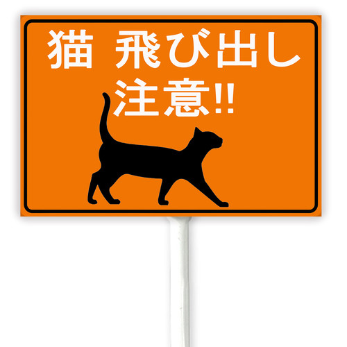 cat 1 34.jpg