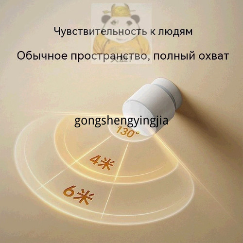 1781096296017.jpg