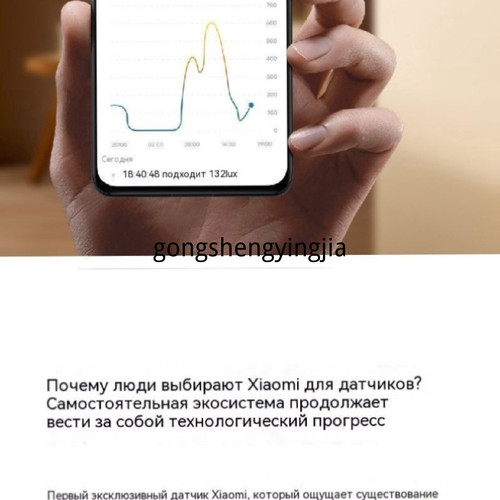 1781096296019.jpg