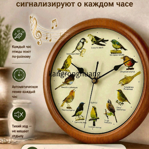 1781096032130.jpg