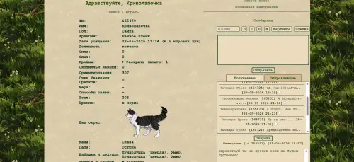 4292.webp