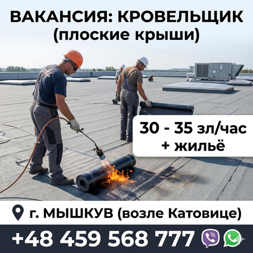 ba064892bf04.jpg