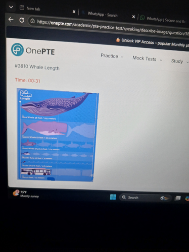 temp.png