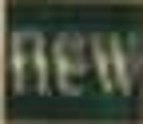 logo1.png