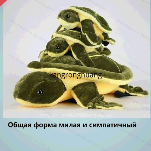 1781098002420.jpg