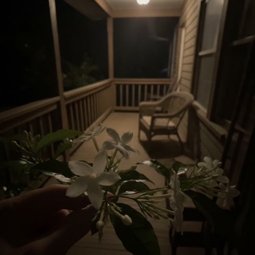 677b073ea806.png