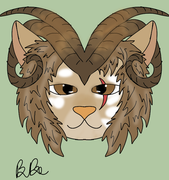 IMG 0978.png