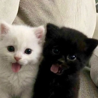IJm3iB5XOveEBZt0EpIVbI5so2krc dCsHZPazdKEI2Z647tTBumQeD4bvjztFUFxSlAWcQ9TmRx sHcHIls35sazUGBVuWzz2iE.jpg
