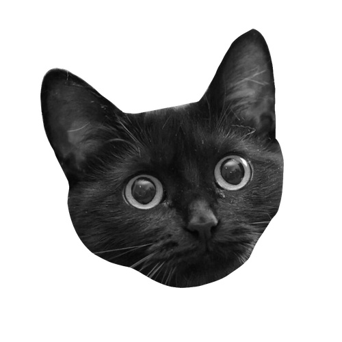 Untitled192 20260610115629.png