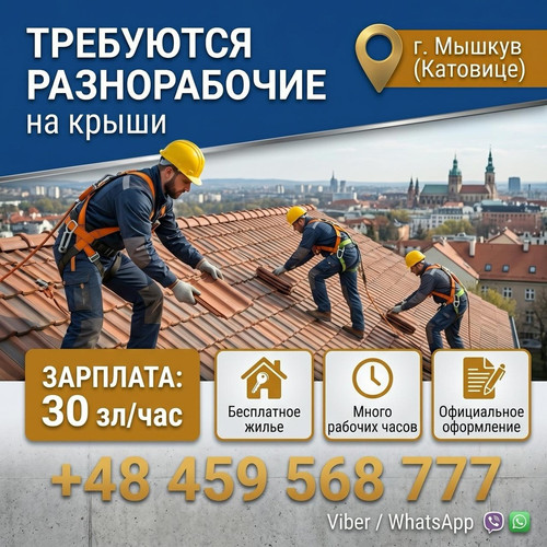 ad462638ab08.jpg