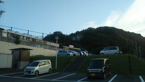 DSC 0105.jpg
