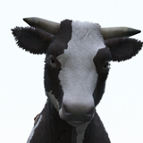 FiveM GTAProcess Js5jPa6LrX.png