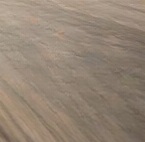 Ground 1.jpg