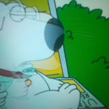 temp.png