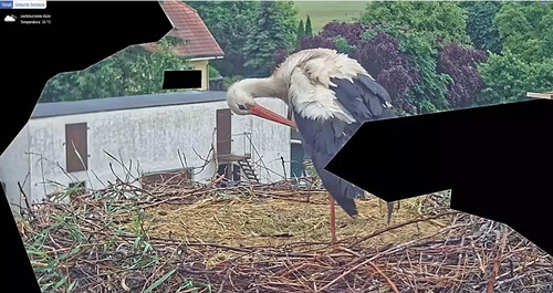 MWSnap343.jpg