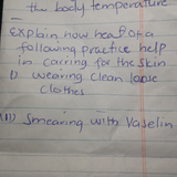 temp.png