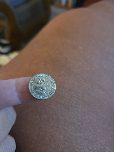 63beb69ca931.jpg