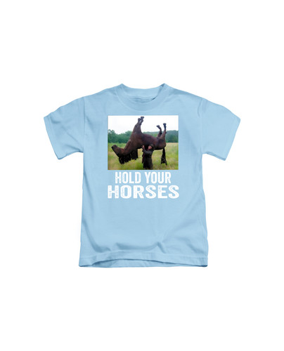 d64 hold your horses+Light blue.jpg