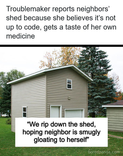 curiosities shed.jpg