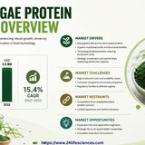 httpswww.24lifesciences.com 2026 06 10T010509.588