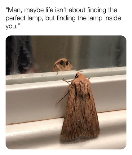 image 2026 06 10T144625.854.png