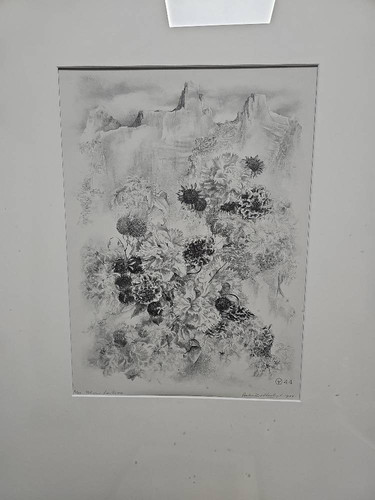 6046dfa4257d.jpg