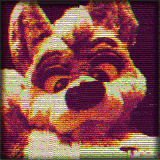 glitch effect.gif