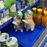 ezgif 715db95e1fe9bfa8.gif