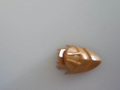120749646.jpg