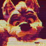 glitch effect2.gif