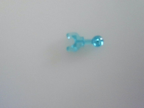 120553908.jpg